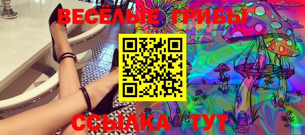 Псилоцибиновые грибы мицелий Саратов